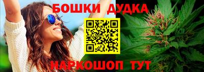 твердый Бийск