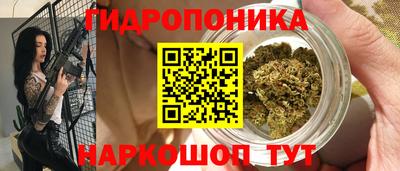 твердый Бийск