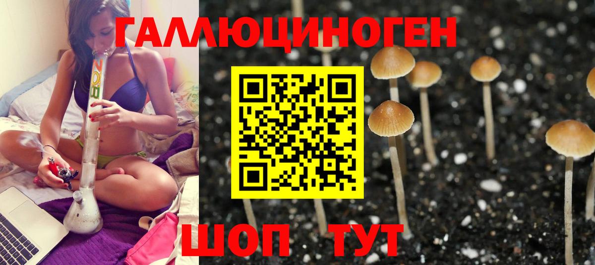 Псилоцибиновые грибы Magic Shrooms Воткинск