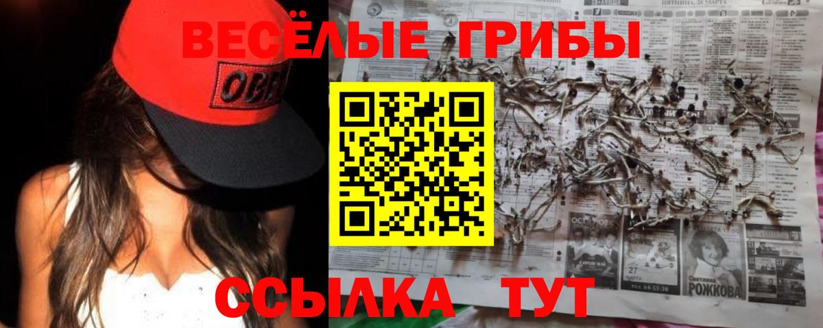 Воткинск  Псилоцибиновые грибы Psilocybine cubensis  Вход с VPN 